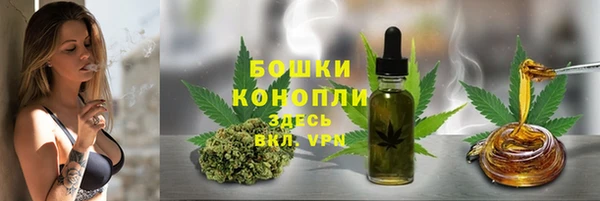 Альфа ПВП Аркадак
