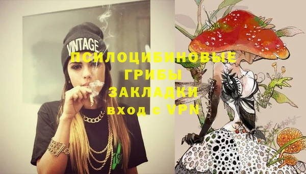 Альфа ПВП Аркадак