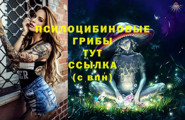 ПСИЛОЦИБИНОВЫЕ ГРИБЫ Арсеньев