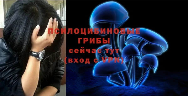 ПСИЛОЦИБИНОВЫЕ ГРИБЫ Арсеньев