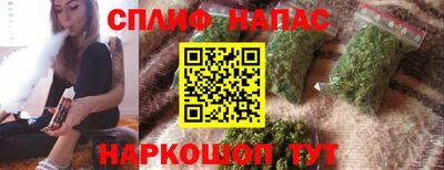 прущие грибы Кингисепп