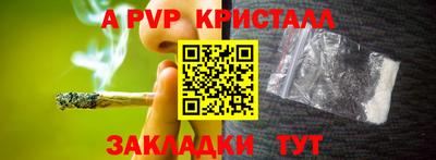 прущие грибы Кингисепп