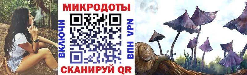 купить наркотик  omg ссылки  Псилоцибиновые грибы Psilocybine cubensis  Качканар 