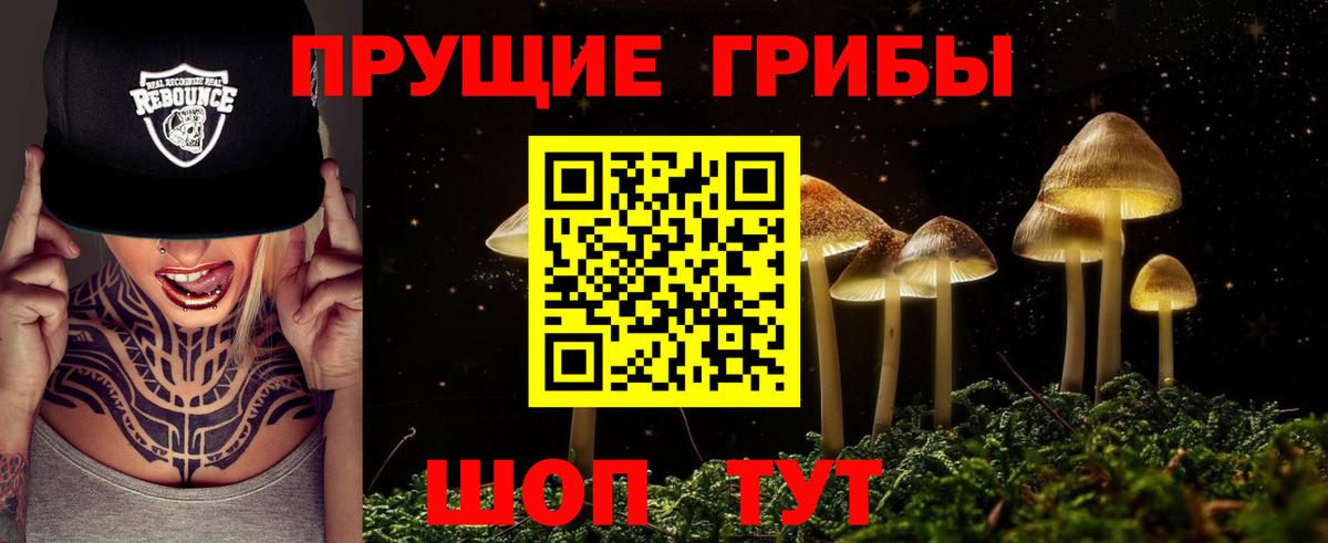 Галлюциногенные грибы Psilocybine cubensis  Вход с VPN  Качканар 