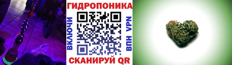 купить закладку  OMG рабочий сайт  Шишки марихуана VHQ  Качканар 